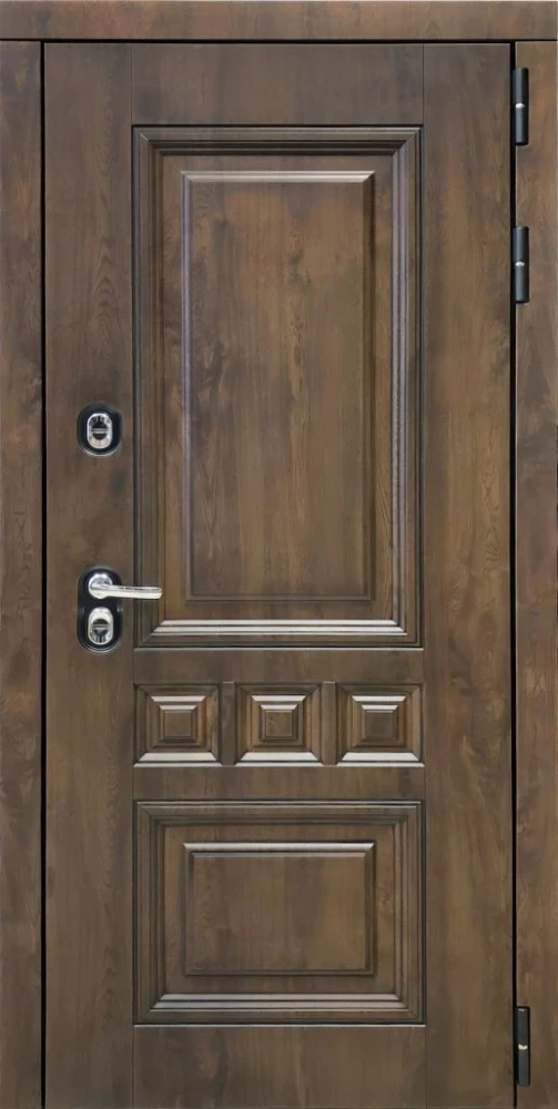 Входная дверь ДвериПРО Аура ФЛ-659 (12мм, nussbaum+черная патина винорит) DPRO200326 внешняя сторона
